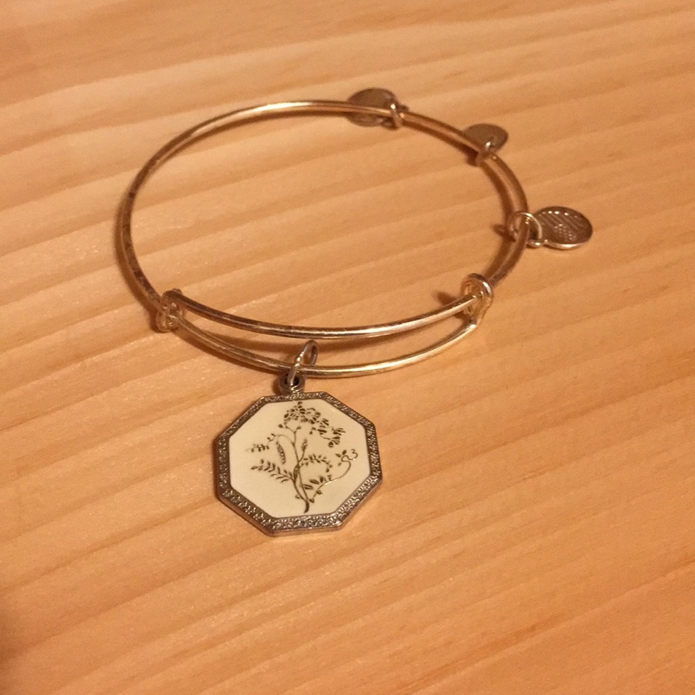 Alex and Ani bracelet